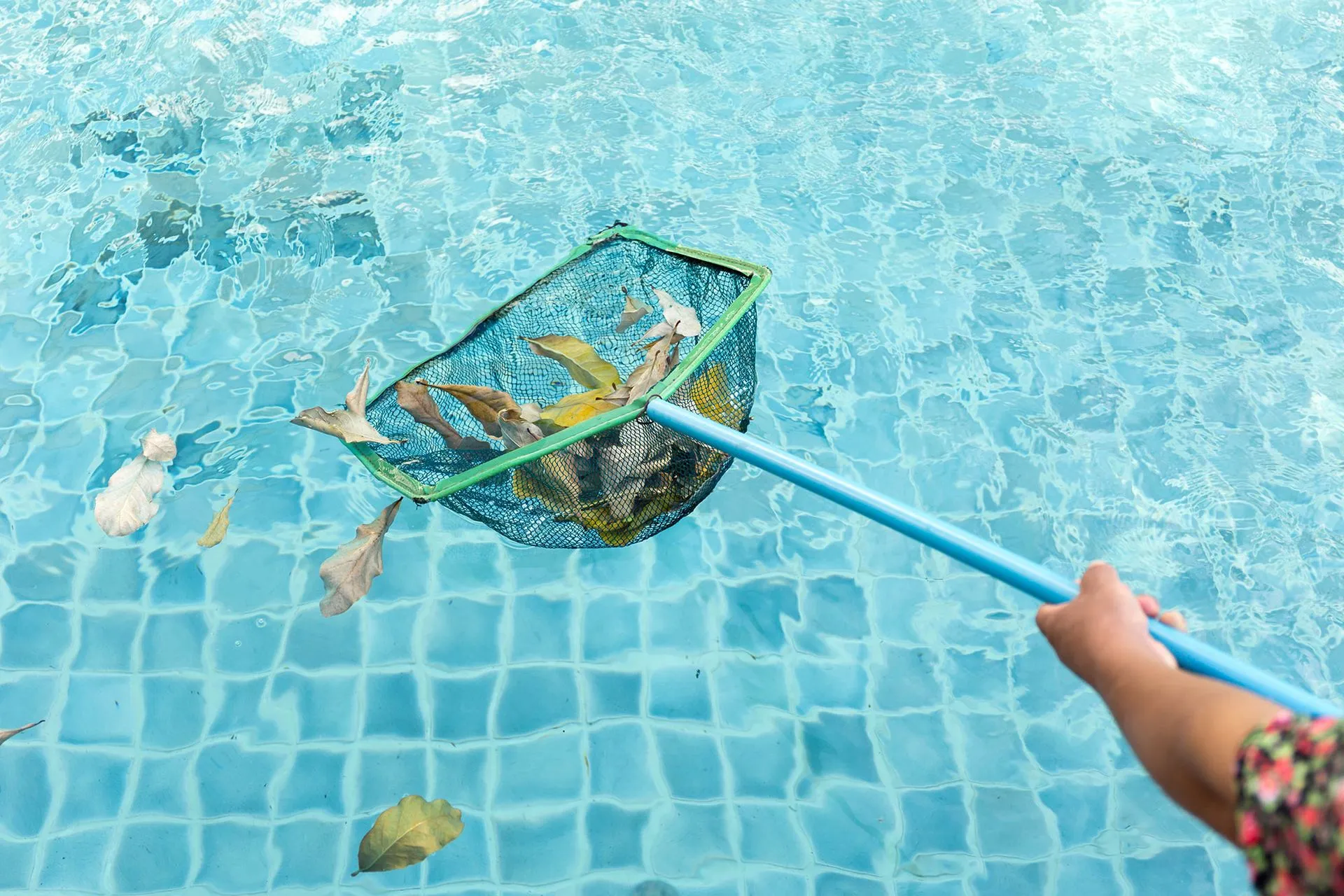 Aloha Custom Pools Supplies And Svc Review